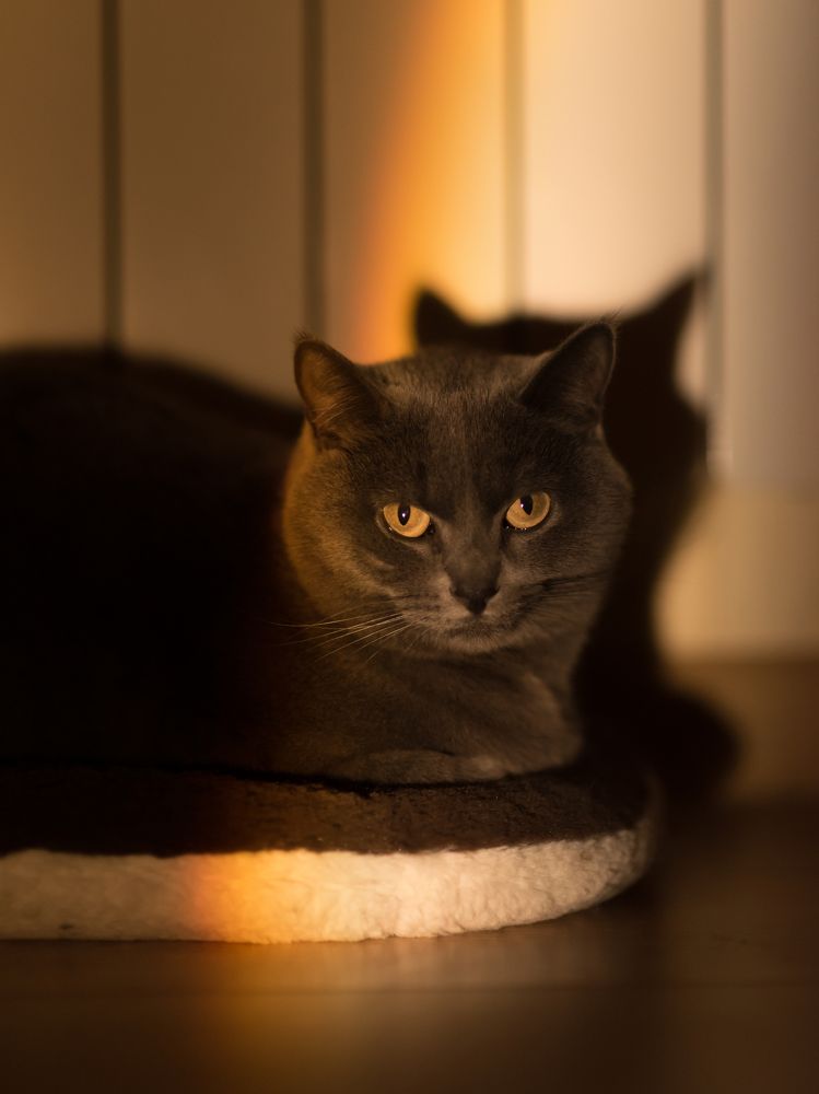 Photograph by Марина Сергеева