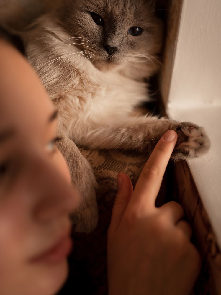 Photograph by Марина Сергеева