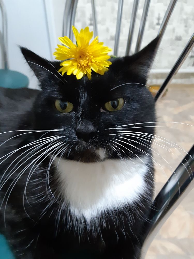 Фотография автора Ирина Лукьянчик