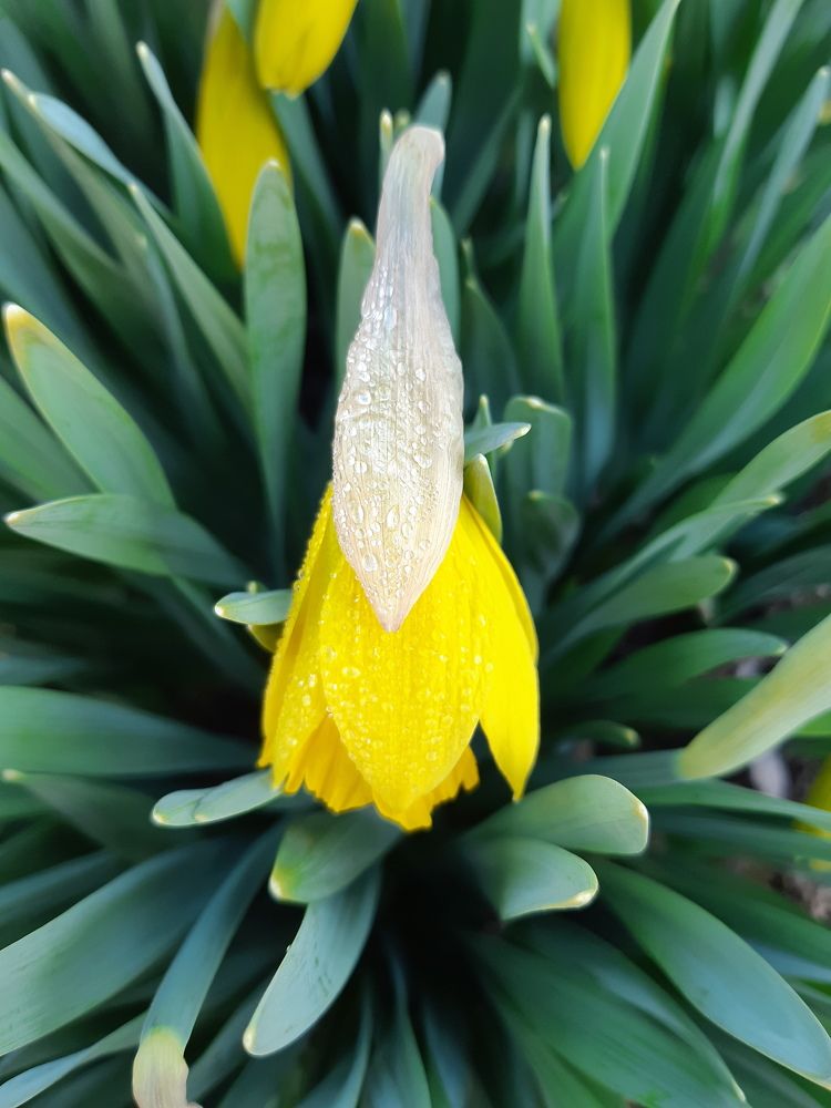 Фотография автора Ирина Лукьянчик