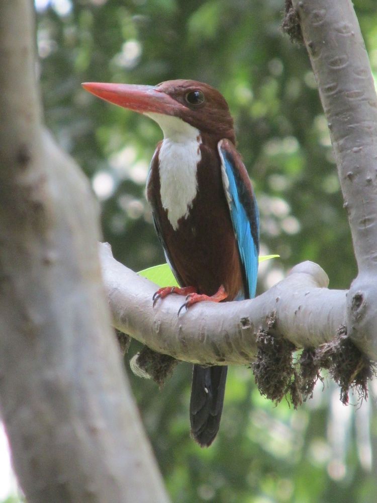 Photograph by Sougata Bhar