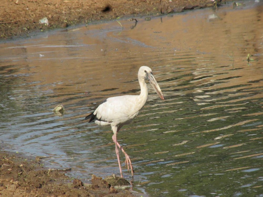 Photograph by Sougata Bhar