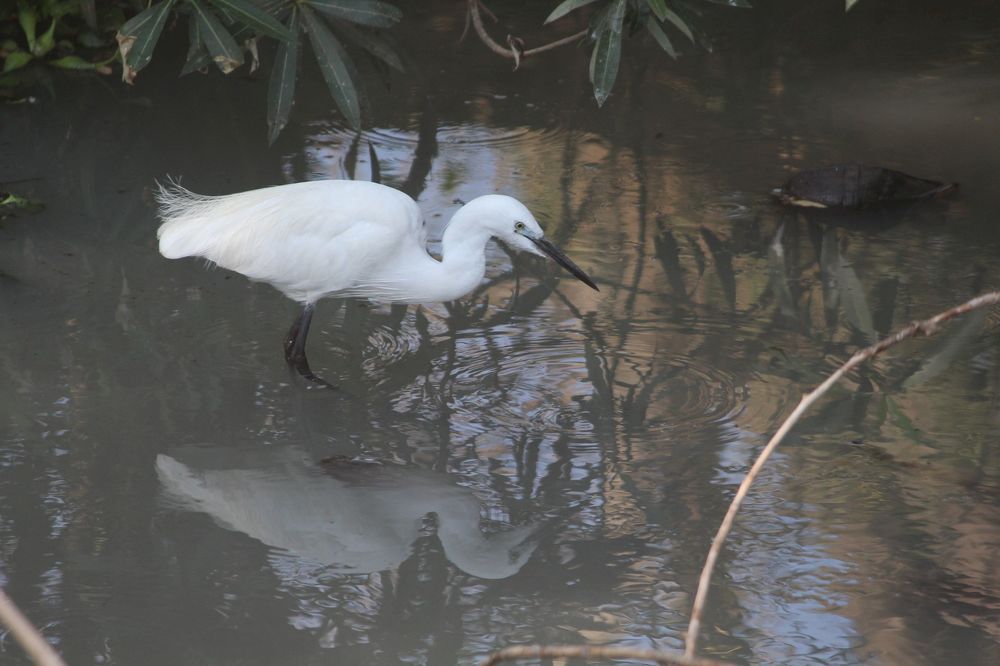 Photograph by Sougata Bhar