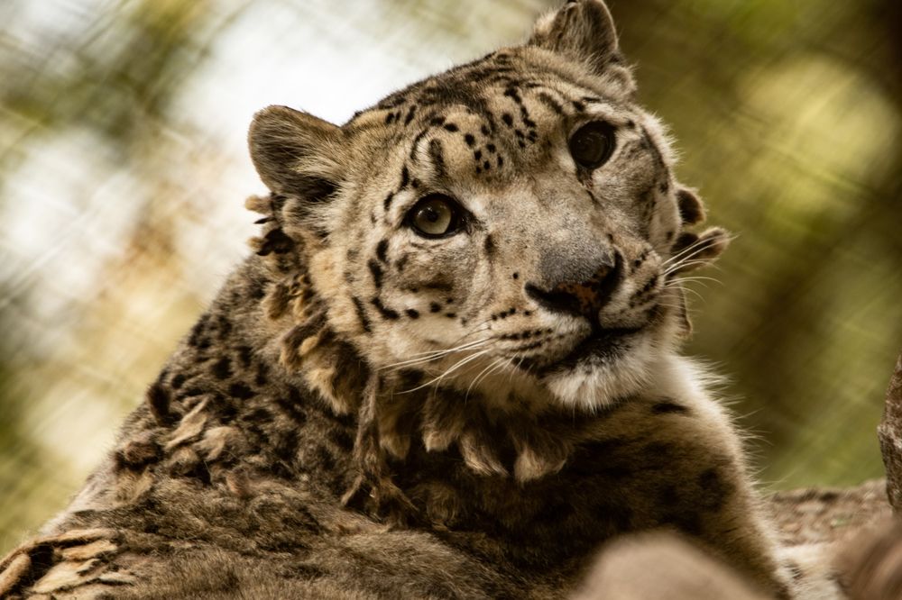 Photograph by mantosh kumar