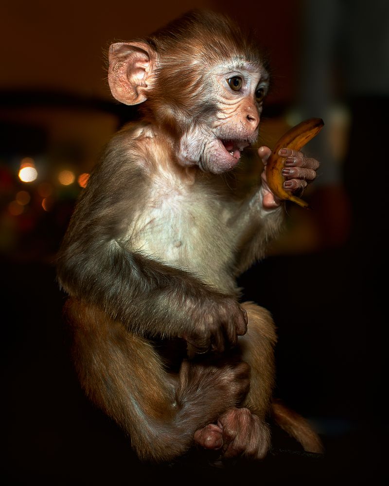 Photograph by Виктор Холодов