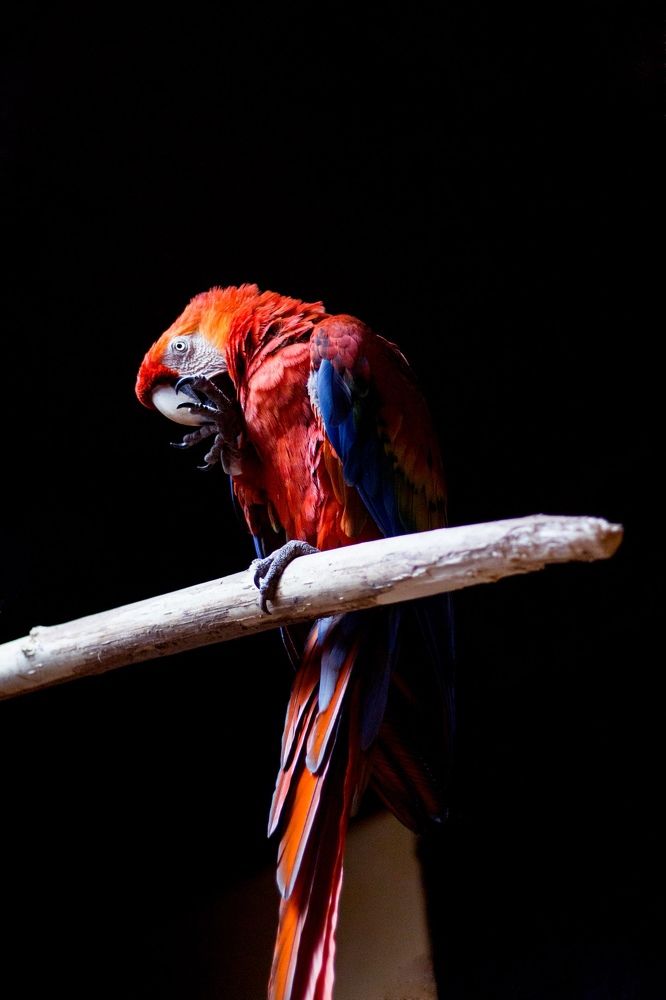 Photograph by Элина Данелия