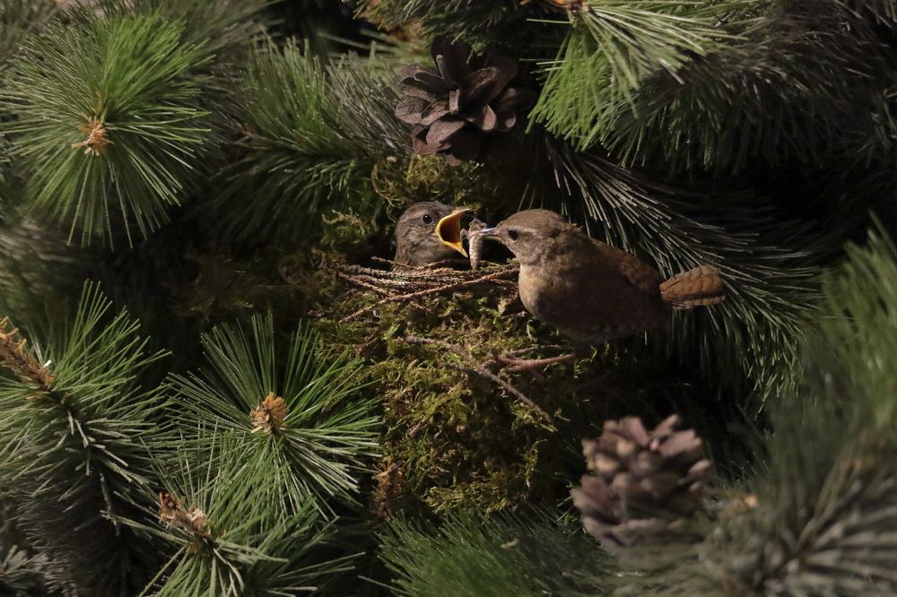 Photograph by Юлия Куликова