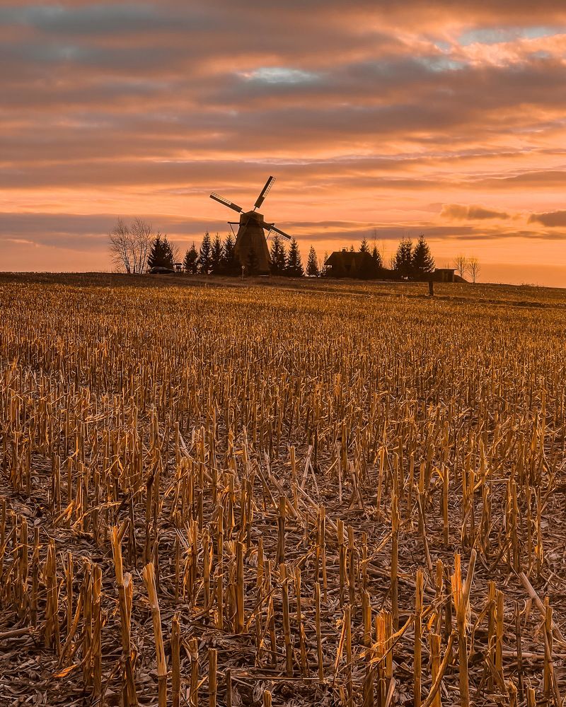 Photograph by Елена Башмакова