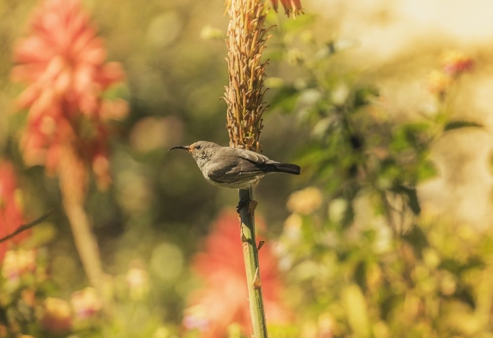 Photograph by Виктория Солодар