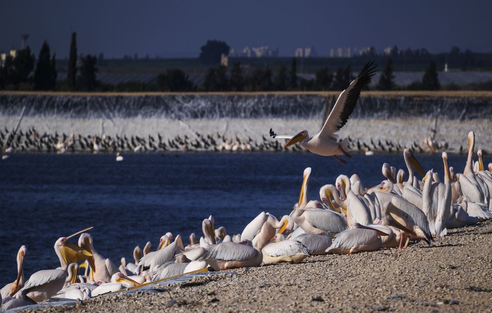 Photograph by Виктория Солодар