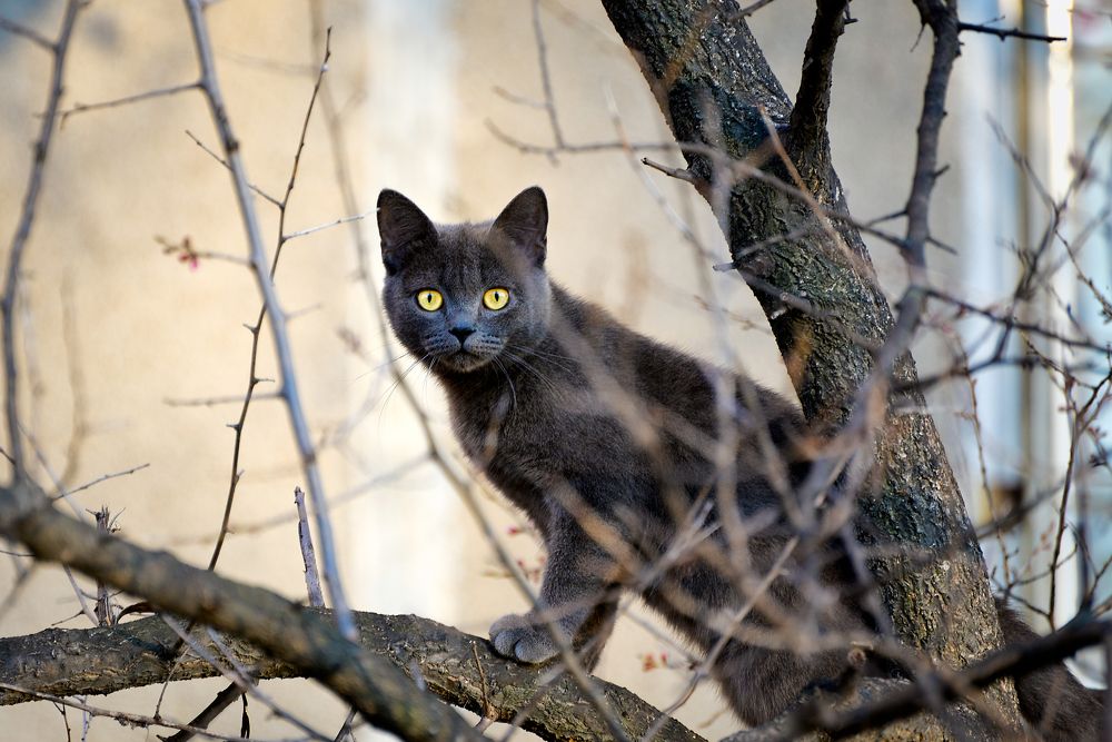 Photograph by Игорь Ковалёв