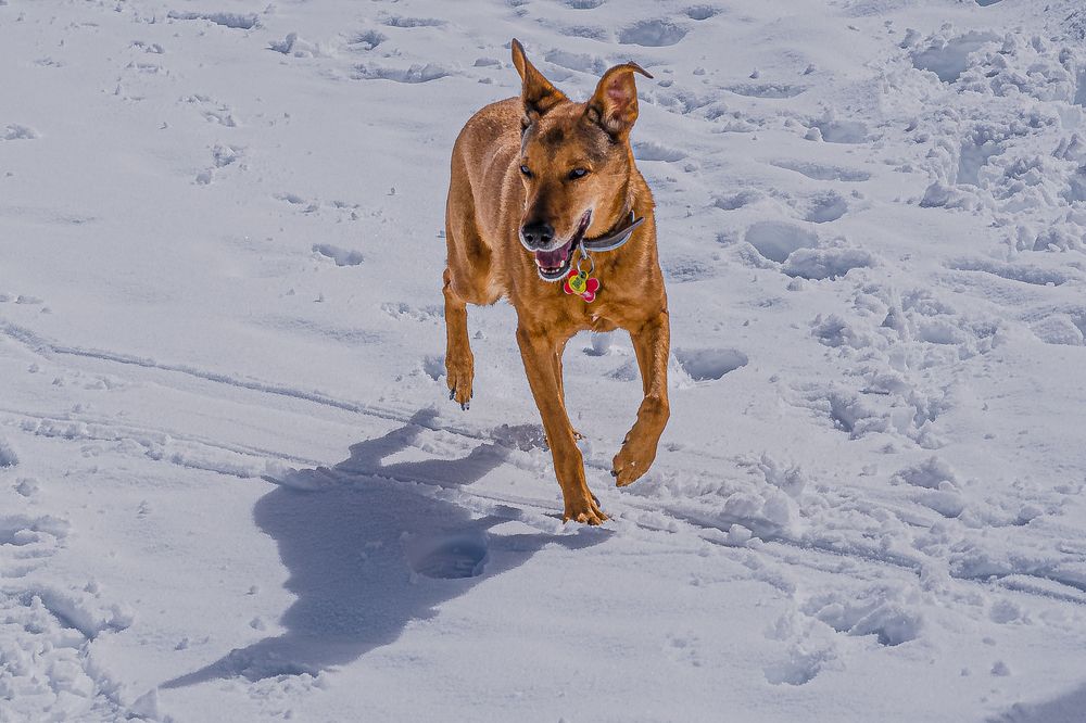 Photograph by Alejandro Suwezda