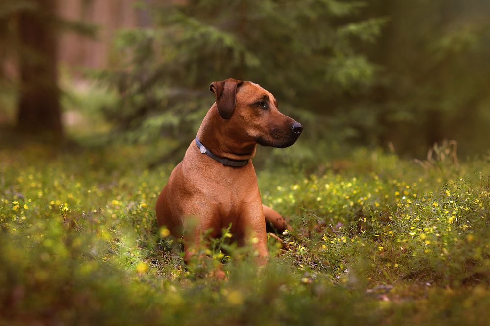 Photograph by Татьяна Морозова