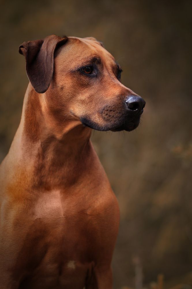 Photograph by Татьяна Морозова