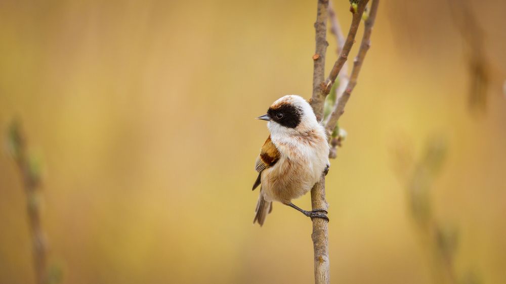 Photograph by Артем