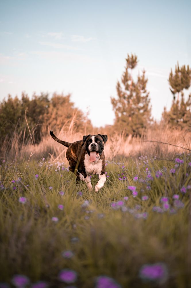 Photograph by Zandri Gillespie