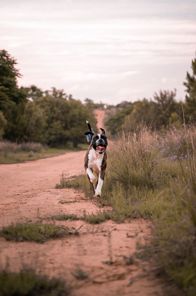 Photograph by Zandri Gillespie