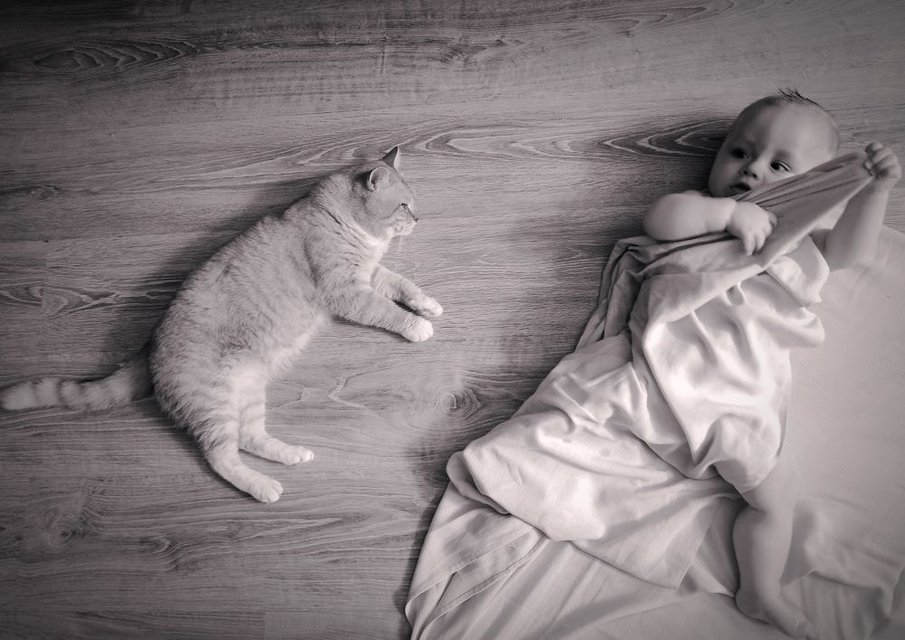 Photograph by Ирина Половцева