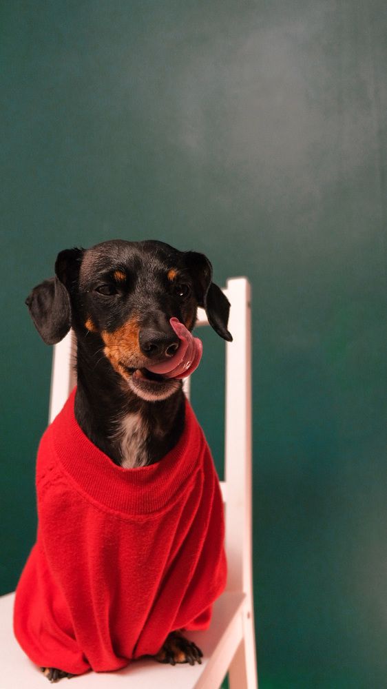 Photograph by Надежда Уланова