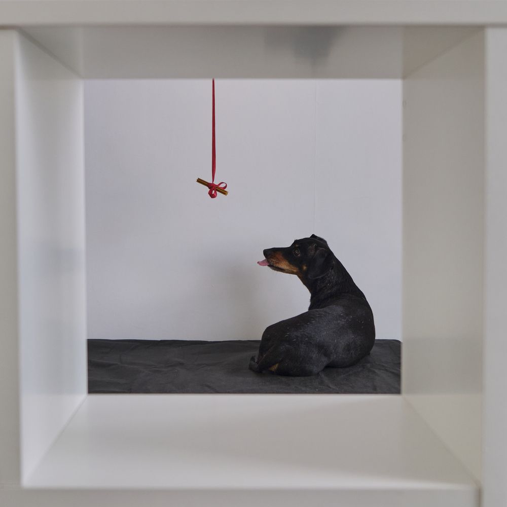 Photograph by Надежда Уланова