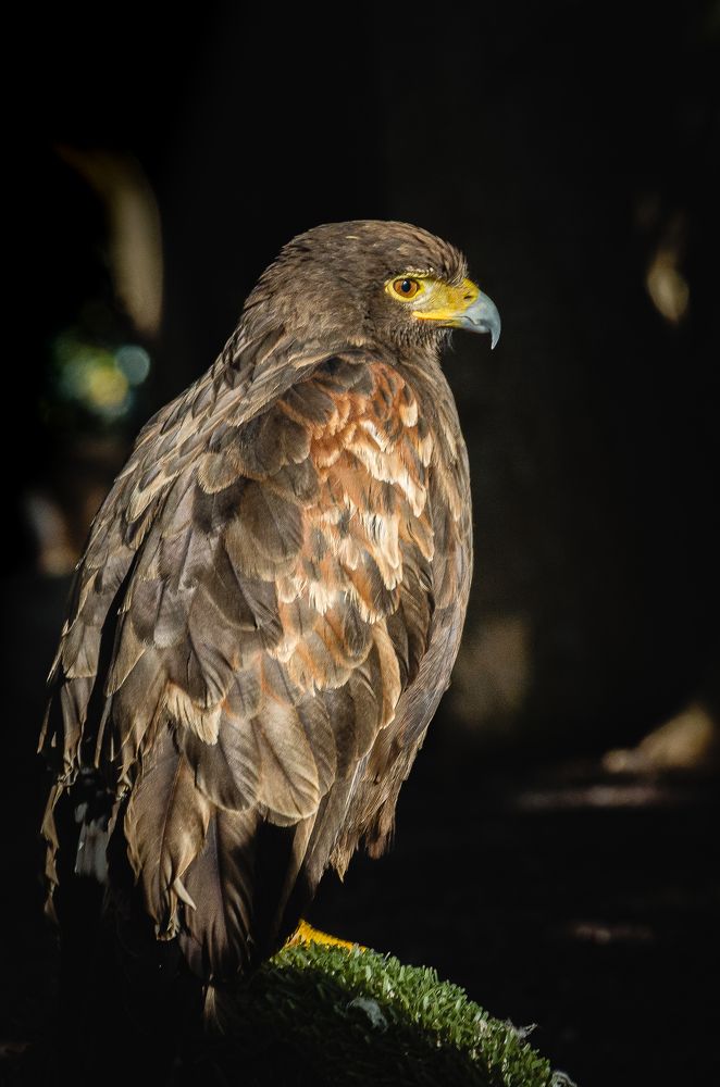 Photograph by Наталья Кокорина