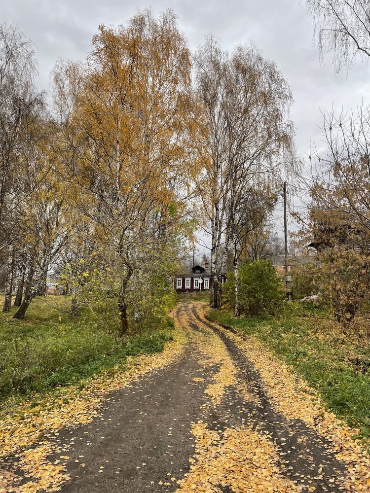 Photograph by Ирина Платонова