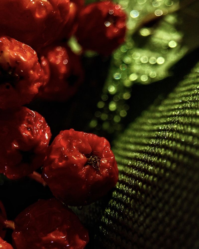 Photograph by Надежда Смирнова