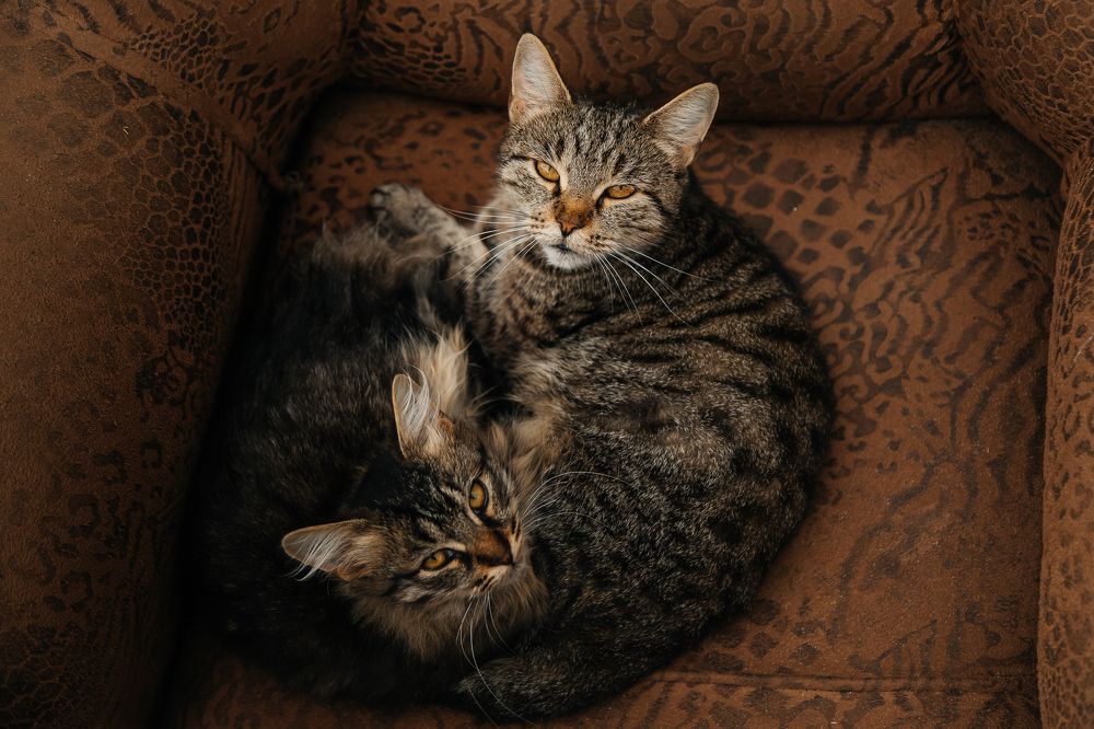 Photograph by Нефедова Ангелина