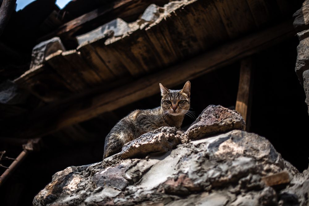 Photograph by Анна Чеснокова