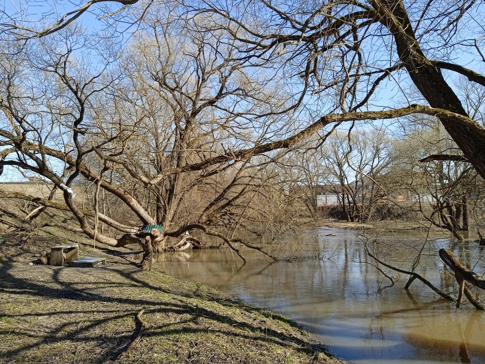 Photograph by Вадим Беляев