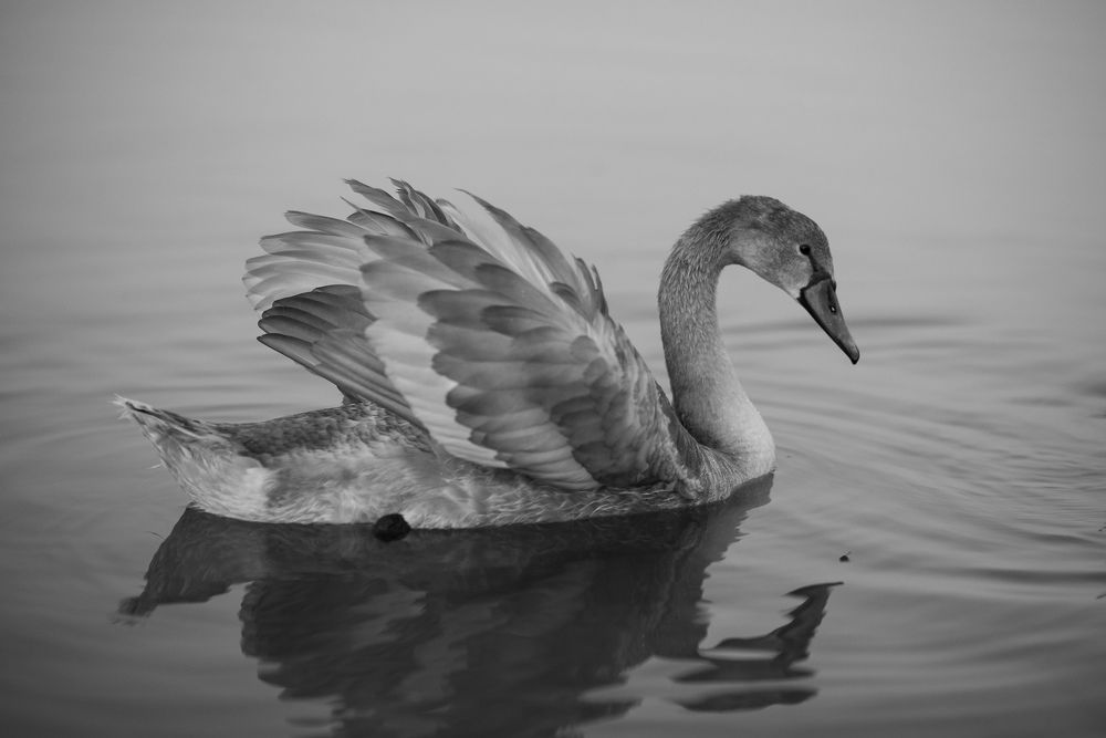 Photograph by Анна Чеснокова