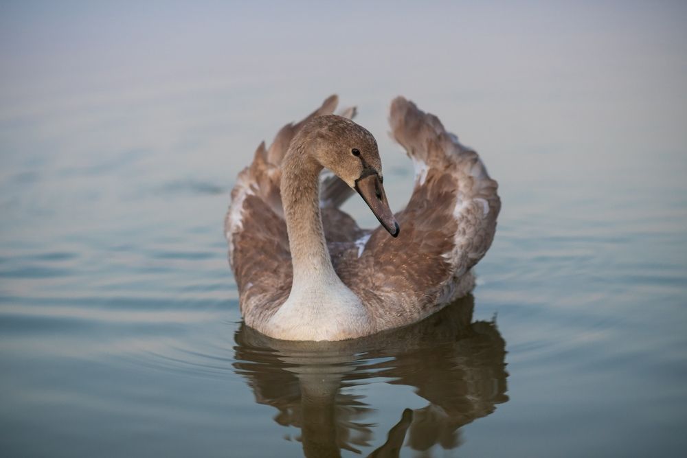 Photograph by Анна Чеснокова