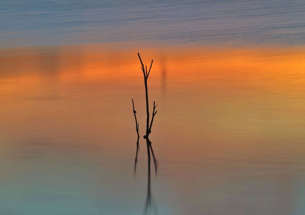 Фотография автора afran afan