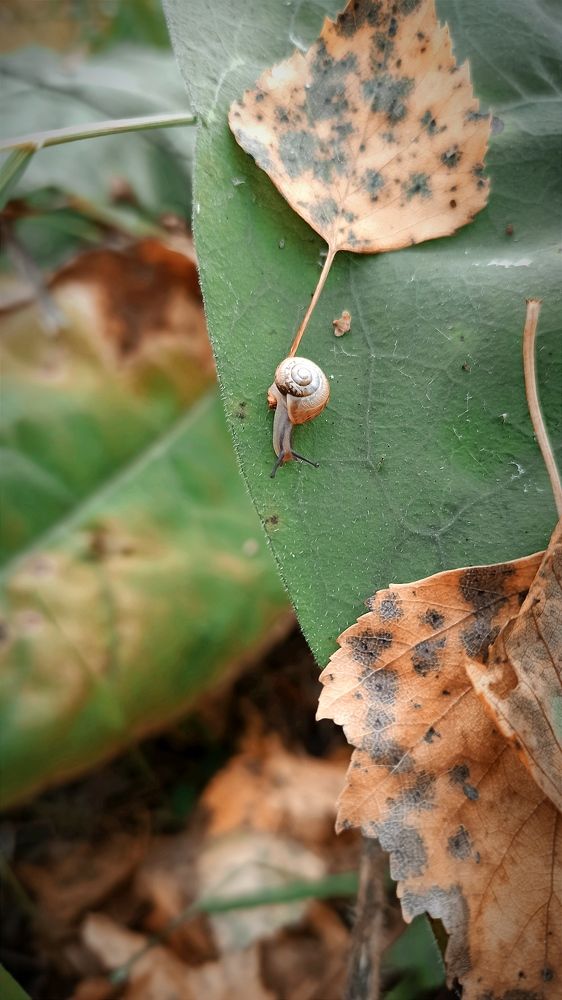 Photograph by Надежда Тарасенко