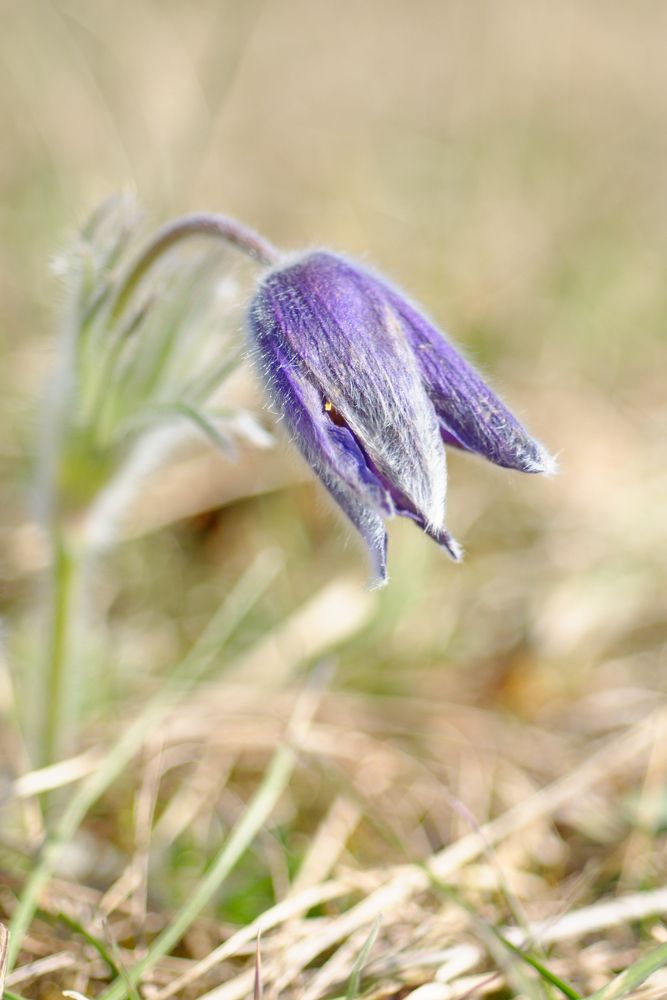 Photograph by Marie-Helene KUHN