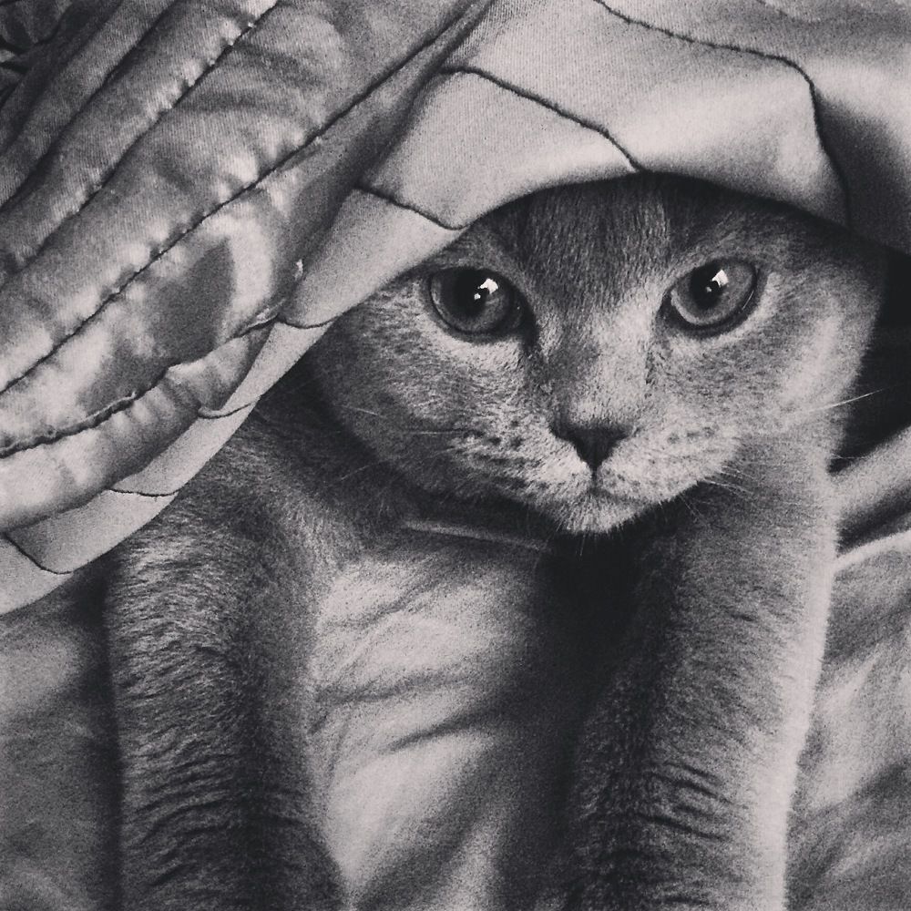 Photograph by Александр Кузнецов