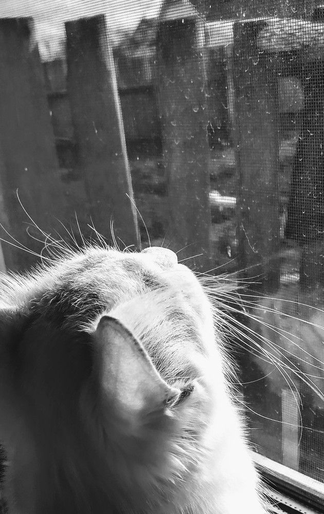 Photograph by Татьяна Никифоровец