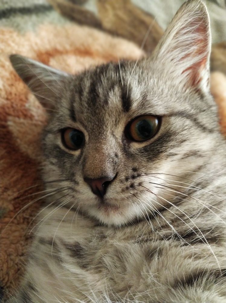 Photograph by Татьяна Никифоровец