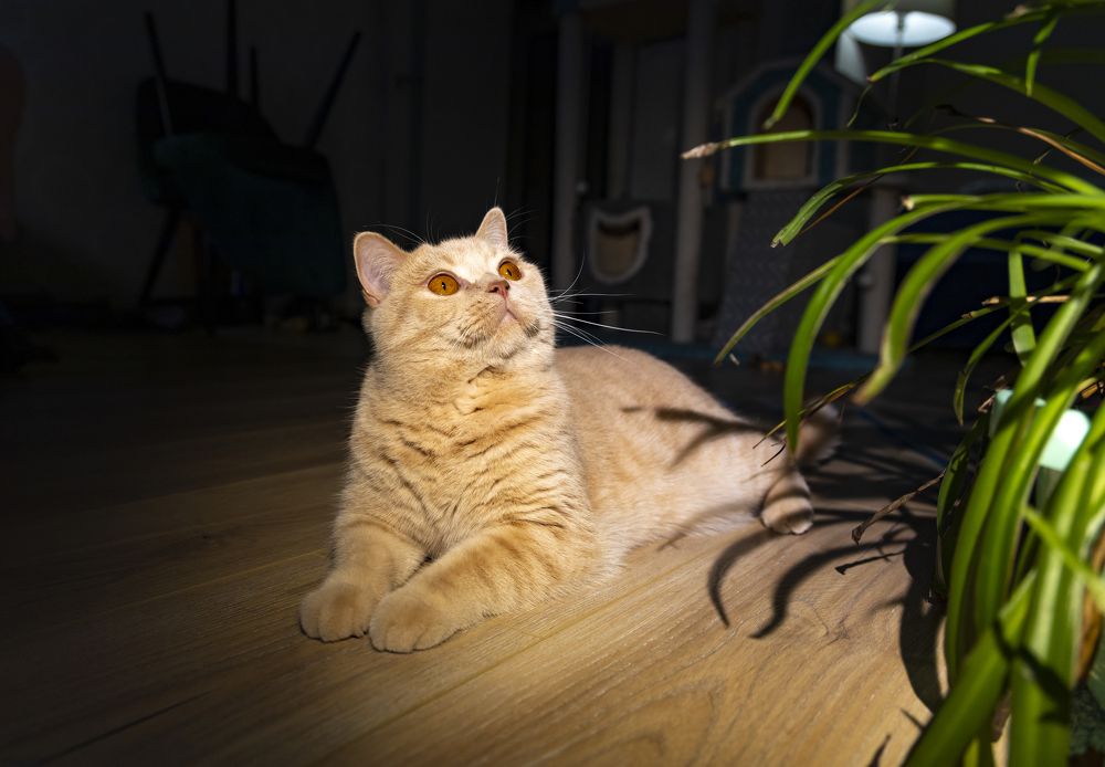 Photograph by Анастасия Малахова