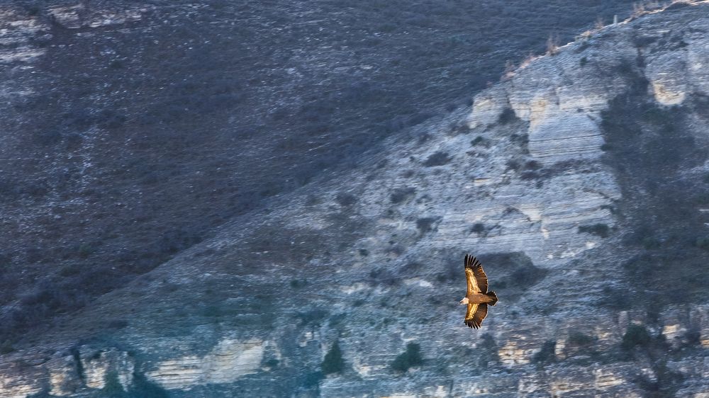 Photograph by Александр Кузнецов