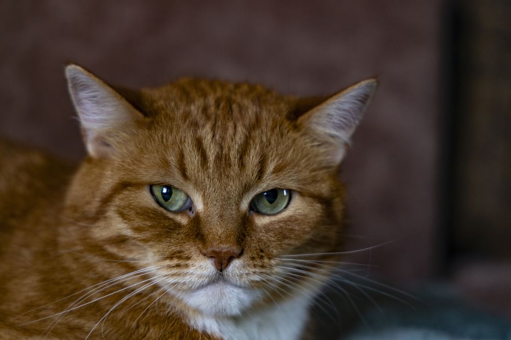 Photograph by Анастасия Малахова