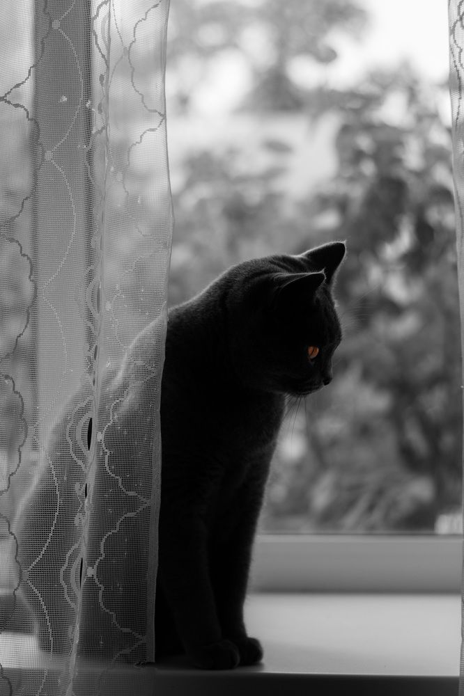 Photograph by Альбина Баташова