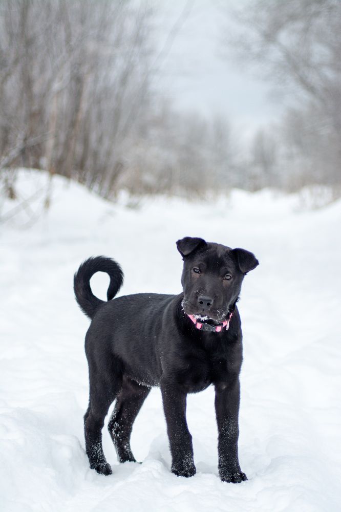 Photograph by Альбина Баташова