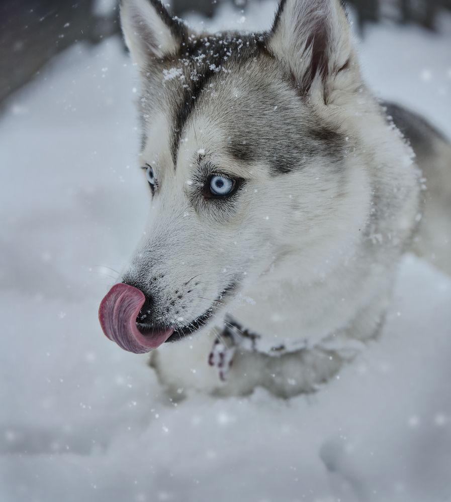 Photograph by Ирина Кленкова