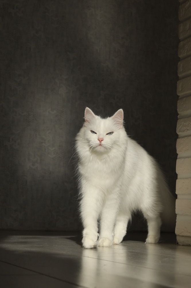 Photograph by Nadezhda Potapova