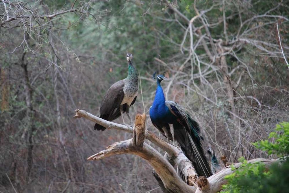 Photograph by Vishwa Trivedi