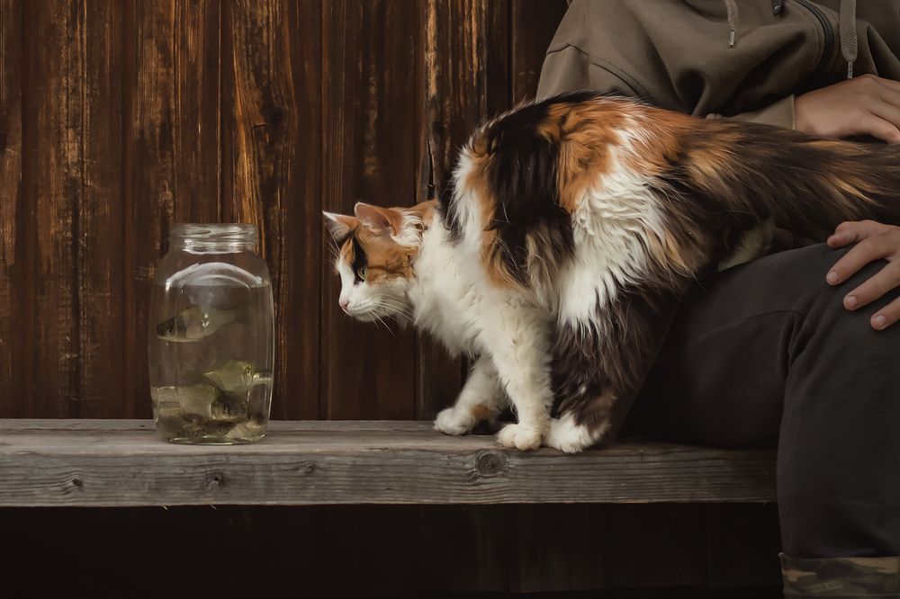 Photograph by Наталья Вистинь