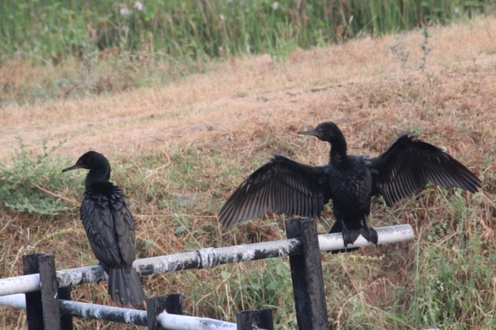 Photograph by Vishwa Trivedi