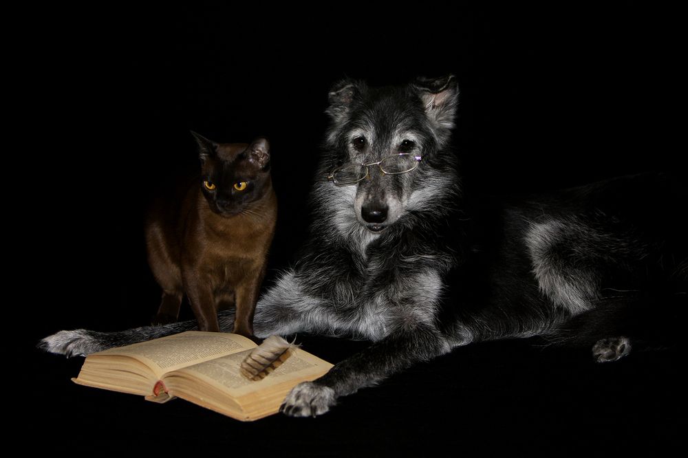 Photograph by Надежда Лисицына