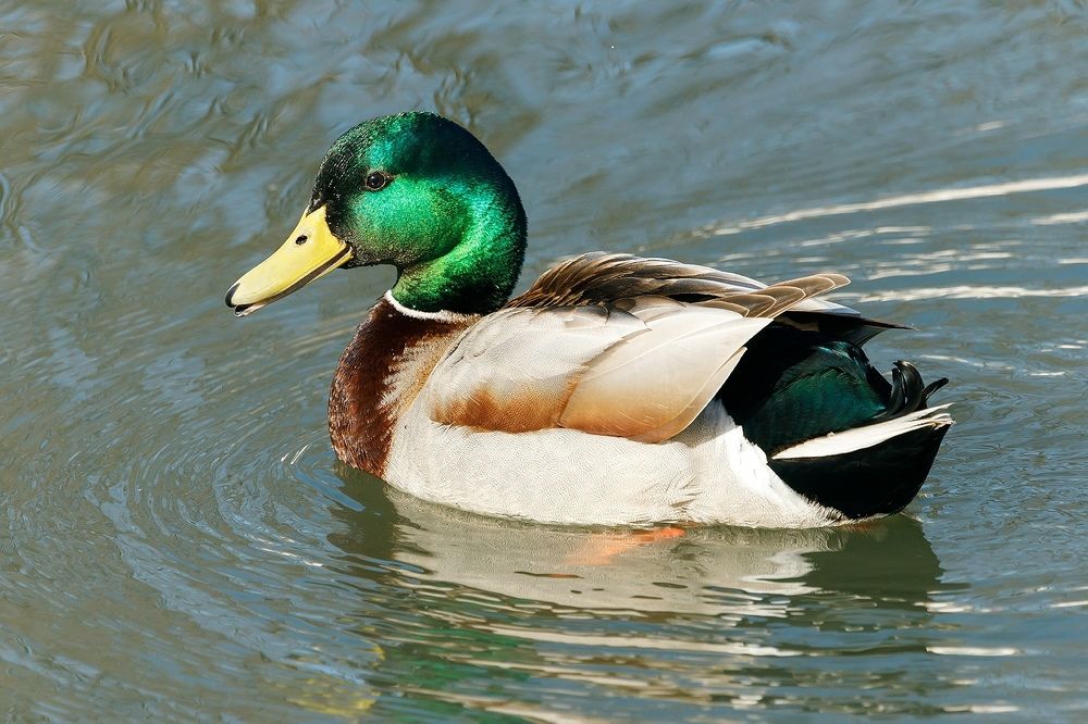 Photograph by Владимир Салапонов